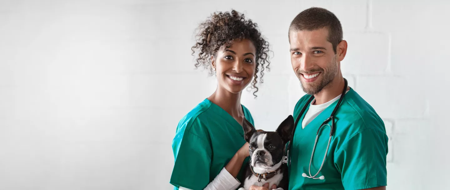 two veterinarians holding black and white dog
