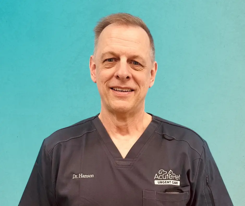 Dr. Scott Hanson smiling on a gradient teal background