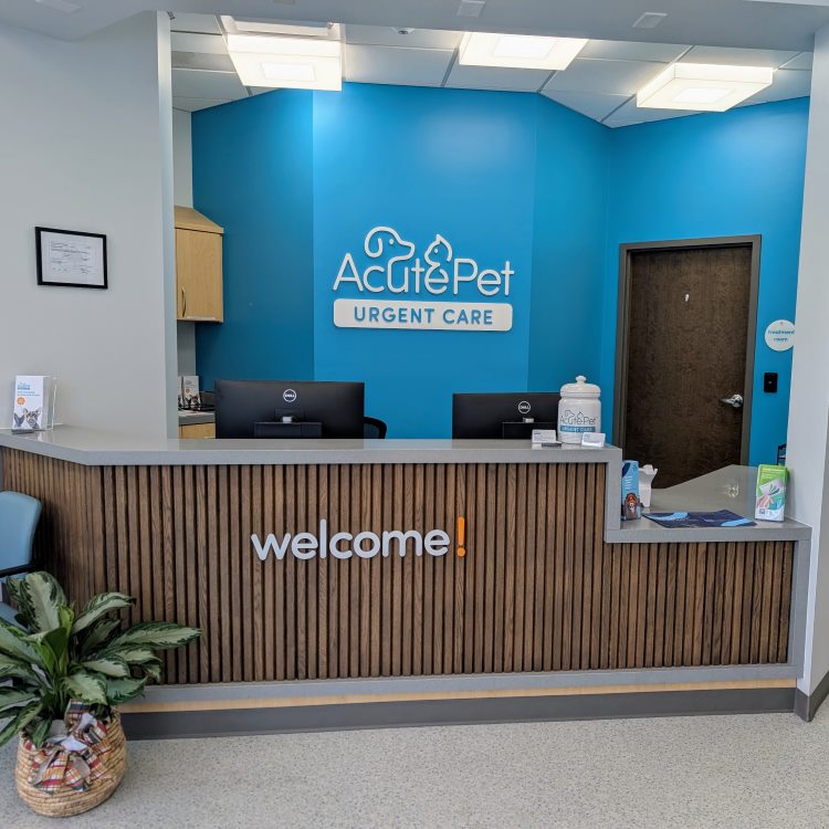 Mt. Pleasant AcutePet Urgent Care Front Desk & Check In Counter