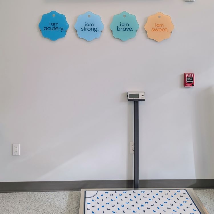 Mt. Pleasant, SC Love Tags & Pet Scale in Lobby