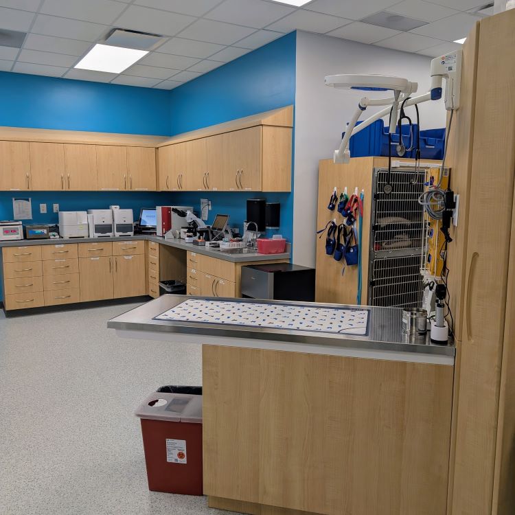 Treatment area & in-house lab