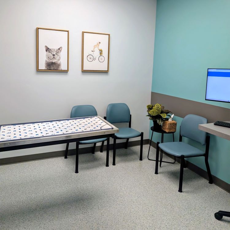 Mt. Pleasant Exam Room Interior view