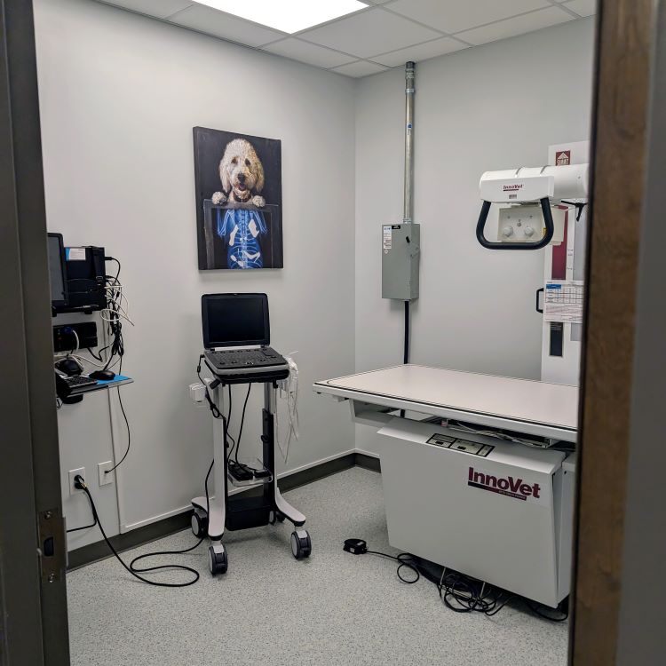 x-ray machine with playful dog photo art at AcutePet Mt. Pleasant for fast pet diagnostic answers