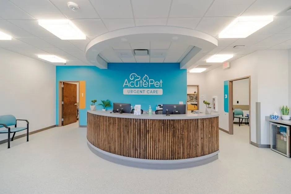AcutePet Summerville Lobby from entrance, view of front desk and exam rooms in urgent care clinic with AcutePet logo on blue wall