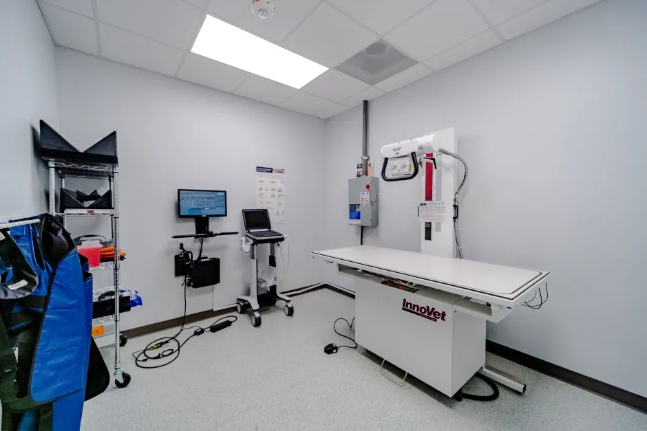 veterinary x-ray machine