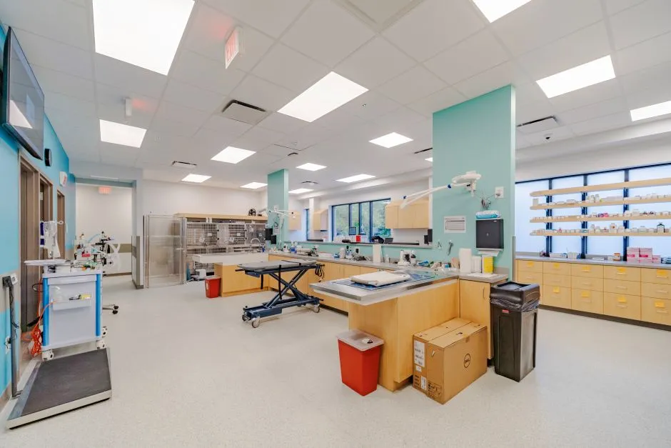 Veterinary treatment area with view of exam tables, cage banks, and pharmacy