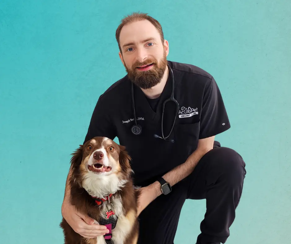 Dr. Joe Snock smiling and wearing AcutePet scrubs with his dog next to him