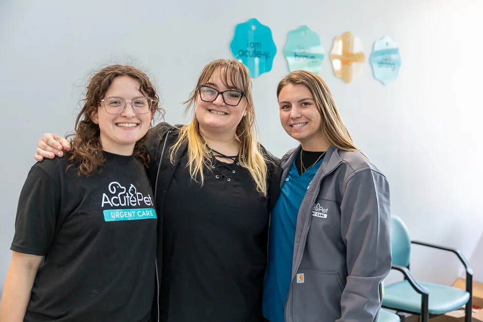 Three Voorhees, NJ team members standing next to one another in the lobby with AcutePet Pet Tags in the background