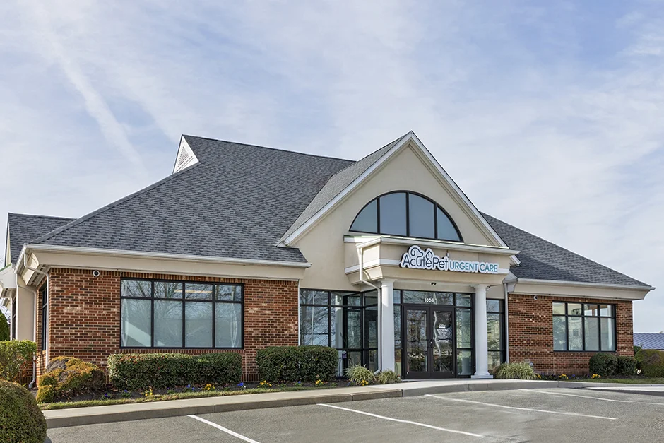 AcutePet Voorhees, NJ view of the outside of the building from the front left angle with a blue sky overhead