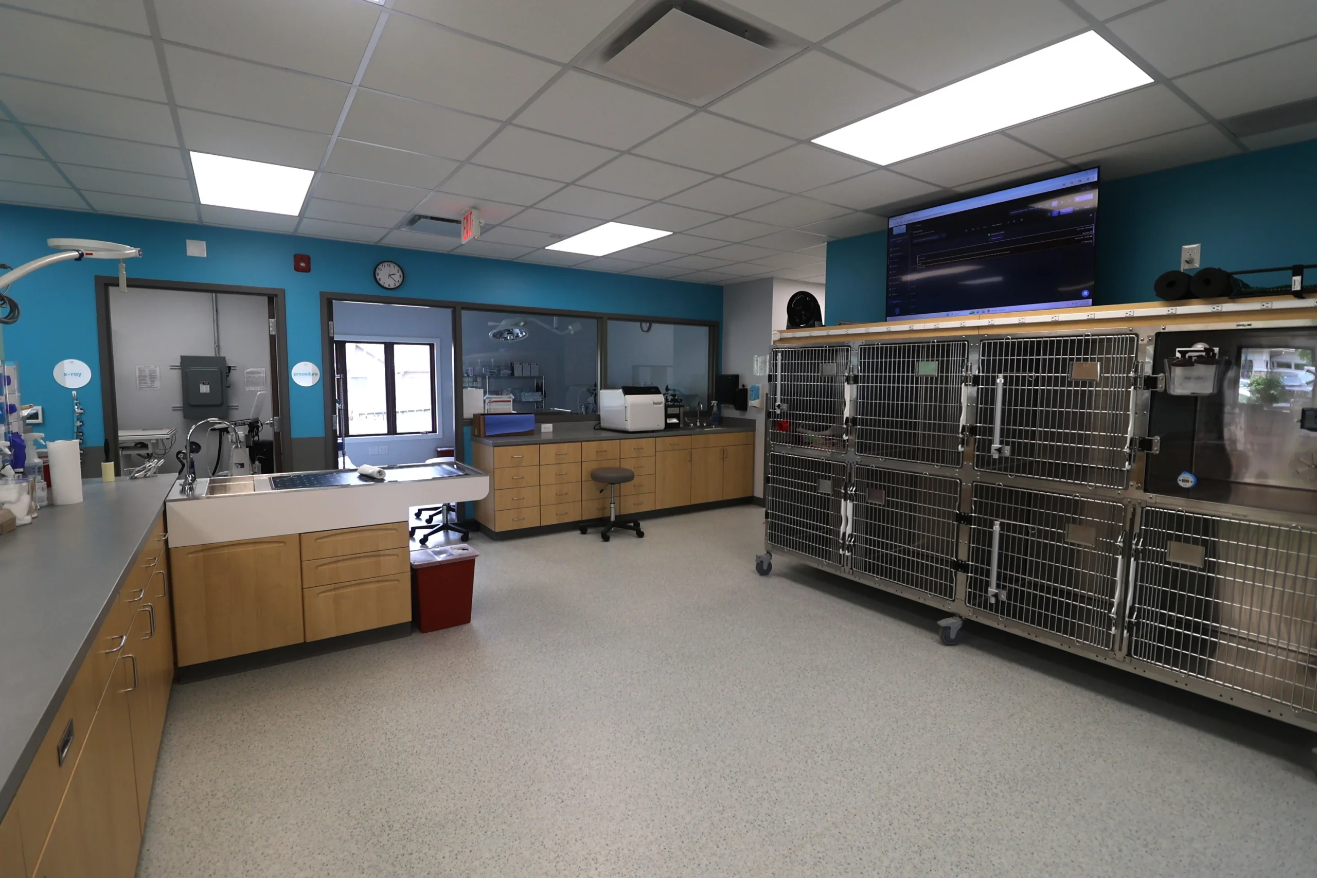 Treatment area